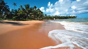 beach-image20